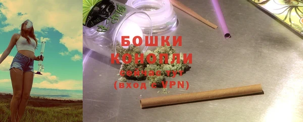 индика Покровск