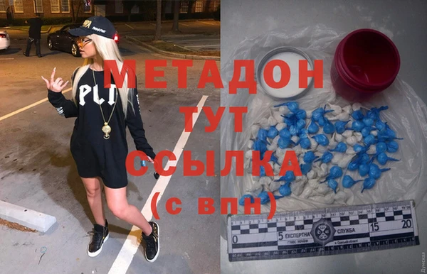 прущие грибы Покров