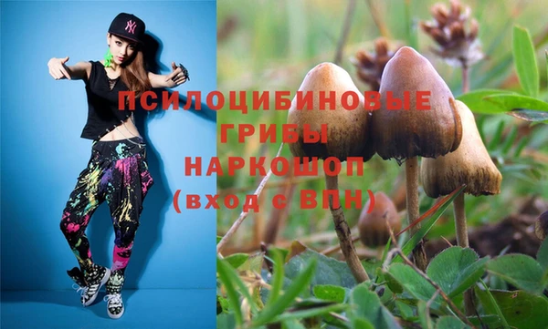 стафф Покачи