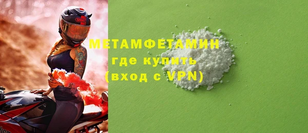 прущие грибы Покров
