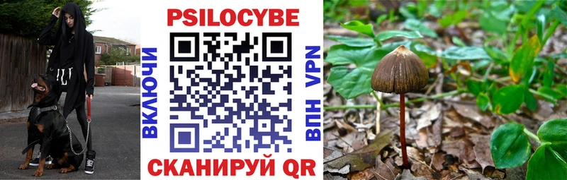 Псилоцибиновые грибы Psilocybine cubensis  наркошоп  Кондопога 
