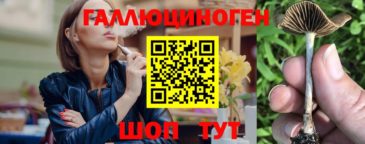 купить закладку  Псилоцибиновые грибы GOLDEN TEACHER  Вход с VPN  Кондопога 